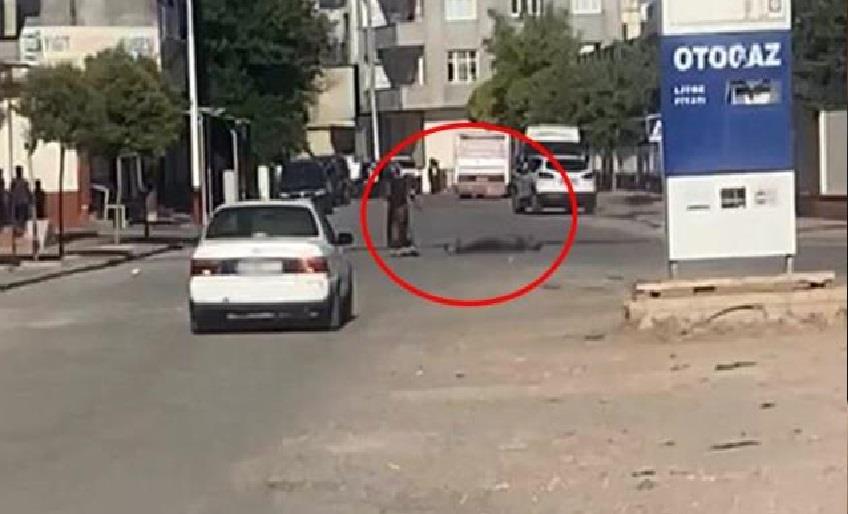 3 ÇOCUK ANNESİ KADIN, KURŞUN YAĞDIRDI